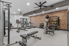 1Bed 1Bath Pool + Gym | Near Domain Mall + Airport - Image 5