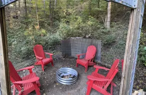 Little Red Cabin in the Woods - Image 3