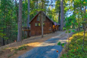 twnfx: King Bed + EV + Lake + Ski Cabin + Fire Pit - Image 3