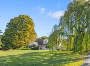 Gorgeous Views | 2 Min to Town | 8-Acre Property - Image 4