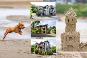 Tolovana 3 | 700ft to Beach | Family Fun | Dogs Ok - Image 5
