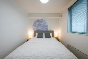 Nakajima Nouveau - Image 3