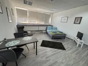 1-room apartment in Ahlten (near the fair) - Image 2