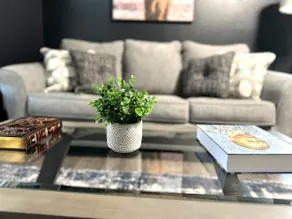 No Extra Fees! | Desk with Monitor + Dog Friendly - Image 4