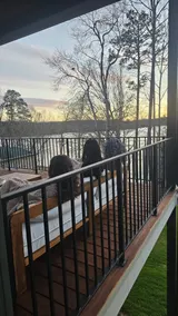 Stylish and Modern Lakefront House, Dog Friendly - Image 3