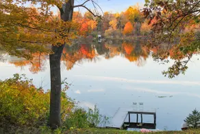 Cozy Treehouse on the Lake - Peaceful and Private - Image 3