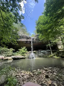 Shawnee Forest Waterfall Retreat - Image 2