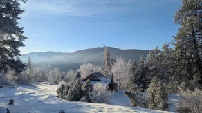 Mountain Side Cabin - Image 2