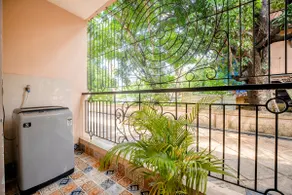 Pet Friendly | Cosmic Cove | 1 BHK | @theKiwiStays - Image 4