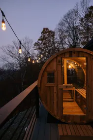 New Luxury Cabin-Sauna, Hot Tub, Arcade, King Beds - Image 2