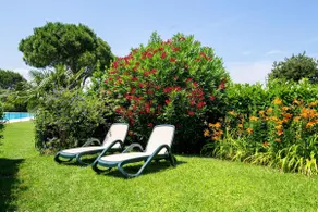 Heavenly outdoor • Pool, Tennis, BBQ • Lakeview - Image 3