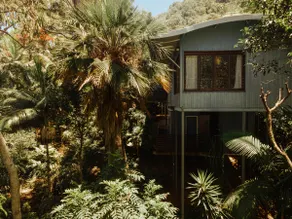 Reinwood Retreat - A home Nestled in the Treetops of a Rainforest - Image 5