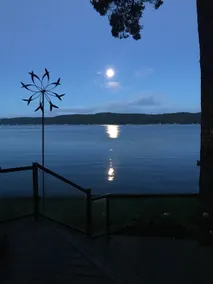Hood Canal Swimming Sunsets Kayaking Belfair, WA - Image 3