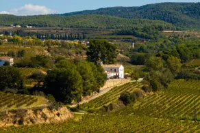 Boutique Manor house, vineyard, pool 35' Barcelona - Image 4