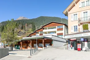 Alpine Chic - Aare Jungfrau AG - Image 4