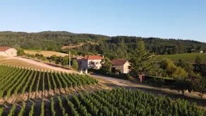 Charming house in the heart of the vineyards. - Image 5