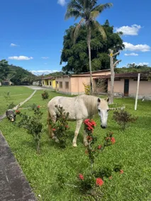 Andorinhas Ranch with pool, small farm and games - Image 5
