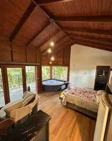 Treehouse - Image 3