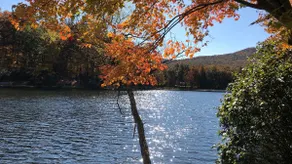 Slice of Heaven on Highview! - Image 2
