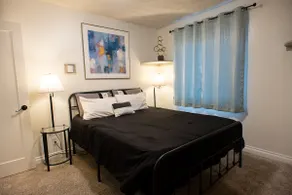 5 acres, Zip line, Pool-HotTub, Sleeps 21 - Image 4