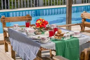Spacious villa with pool and garden - Image 3