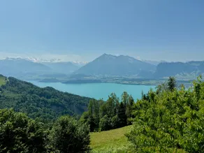 Apartment Panorama - Image 2