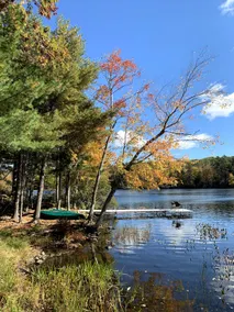 Four-Season Luxury Lakefront Cabin Close to Camden - Image 3