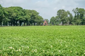 Het Heerengoedt, rural apartment - Image 2