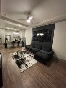 Luxury in the City - Image 2