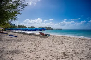 Charming Condo near Sandy Beaches & Surf Breaks - Image 3