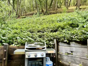 Nicasio Slice of Heaven - Image 4