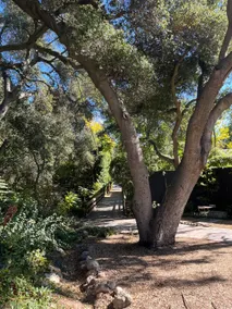 Peaceful retreat near beach, trails, and city life - Image 2