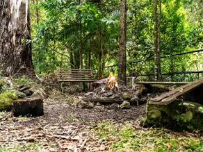 Creekside Rainforest Retreat - Image 2