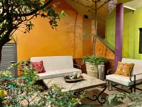 Your Best Option In Tlaquepaque And Surroundings - Image 5