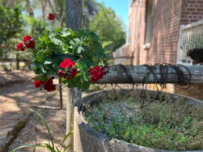 Currawong House - Image 3