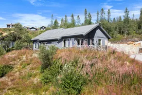 Modern Family Cabin at Norefjell - Views and Hiking - Image 2