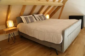 Cozy guesthouse near nature and Nijmegen - Image 5