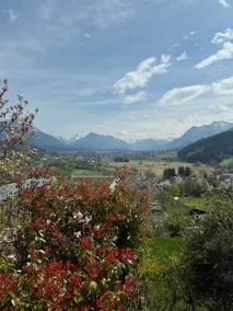 Villa Noomi - Image 5