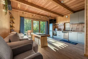 Łysogórska Polana Cottages - Domek Leśna Przystań - Image 5