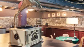 Hidden Bar • Dual Hot Tubs • Game Room - Image 5