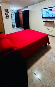 Fully-equipped apartment, minutes from downtown - Image 3