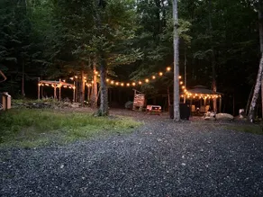 Bear Necessities - Image 2