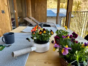 Luce Alpina – Two bedrooms + panoramic balcony - Image 5