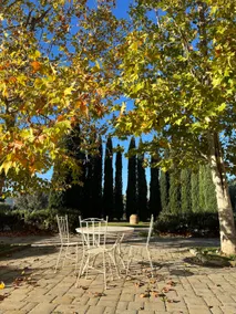 Tuscan Maremma in Scarlino Elegant apartment - Image 2