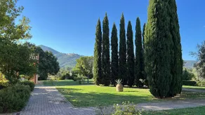 Tuscan Maremma in Scarlino Elegant apartment - Image 5