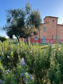 Tuscan Maremma in Scarlino Elegant apartment - Image 3