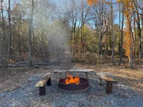 Garvan Woodland Cabins E - Image 3