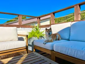 [Scenic Terrace] Unobstructed View of Mt. Fuji | Right by Morito Coast | Groups & Pets Welcome | Private Standalone House - Image 5