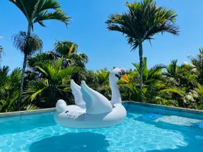 The Coconut Palm Villa ~Poolside Ocean View Suite - Image 2