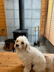 [Private villa where you can stay with your dog/BBQ] 7 minutes walk to the popular old Karuizawa/Old Karuizawa Ginza Street - Image 5
